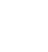 conseils vétérinaires