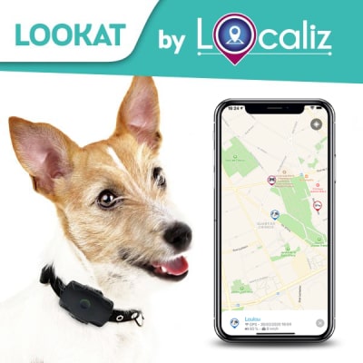 Localiz - Tracker gps chat-chien