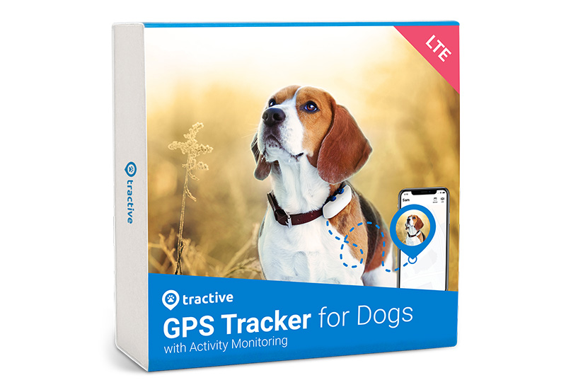 Collier GPS pour chien – ToutPositif