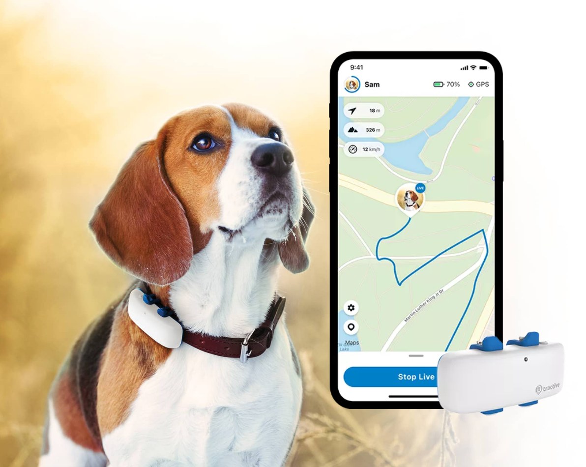 Système de géolocalisation GPS pour chien et chat