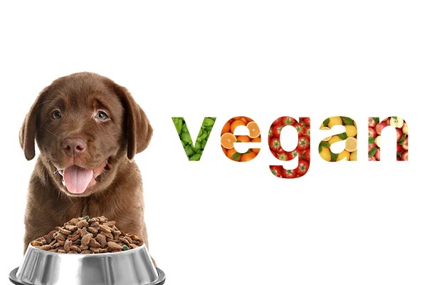 Croquettes pour chien vegan