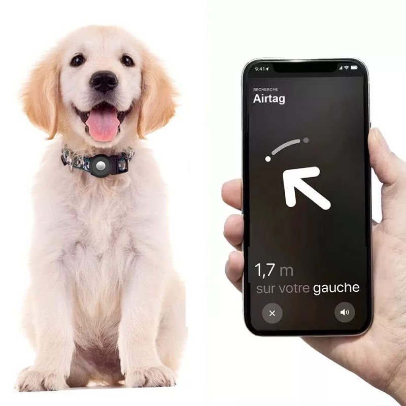 AirTag - Tracker gps chat chien