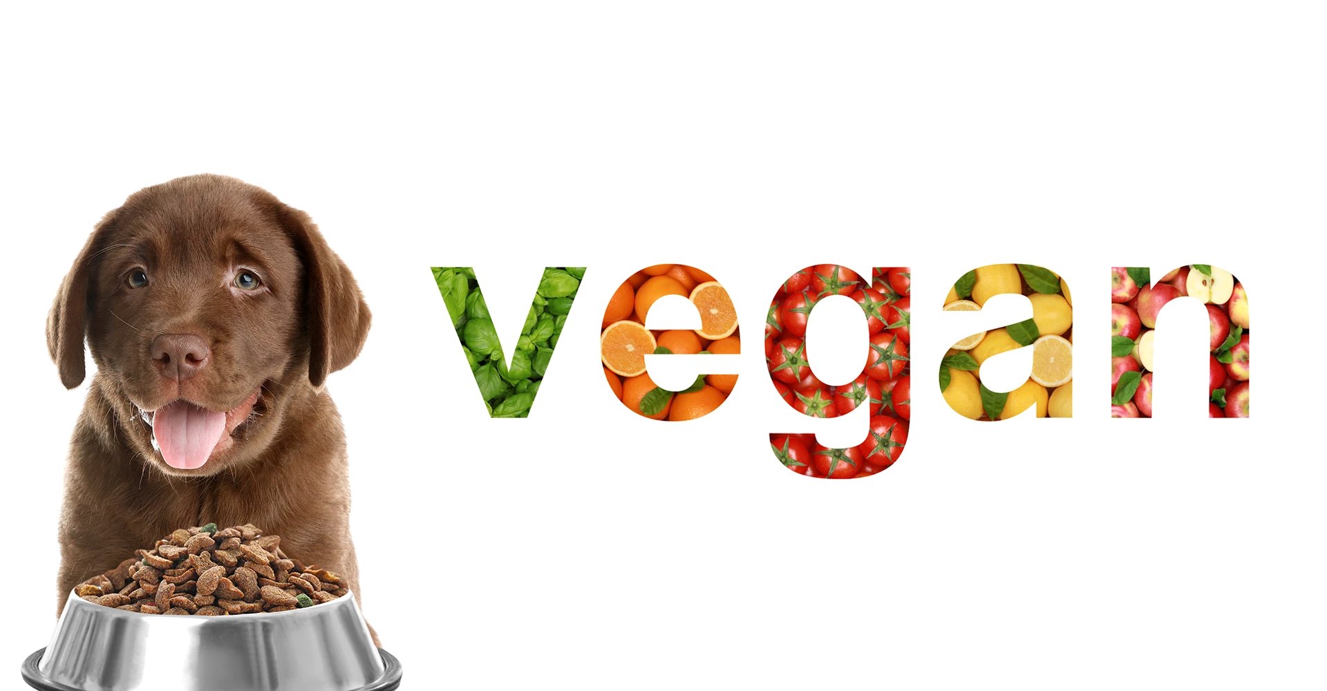 Croquettes chien vegan