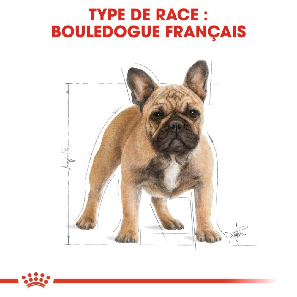 royal canin bouledogue francais