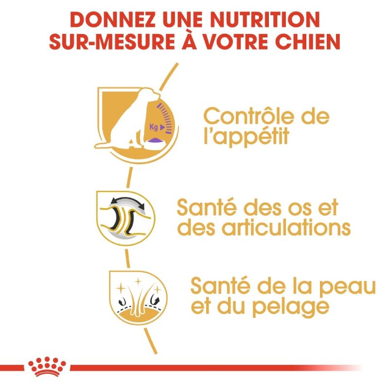 Croquettes Royal Canin pour labrador stérilisé