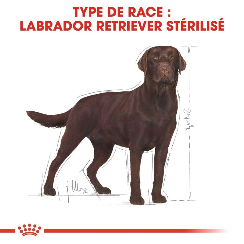 Royal Canin Labrador Retriever Sterilised Adult