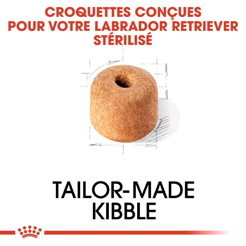 Royal Canin labrador stérilisé