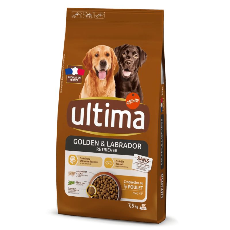 Ultima golden et labrador