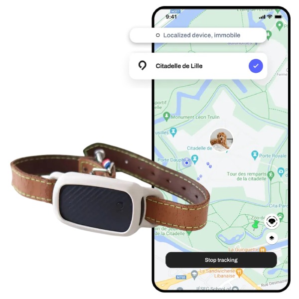 Traceur GPS chien sans abonnement