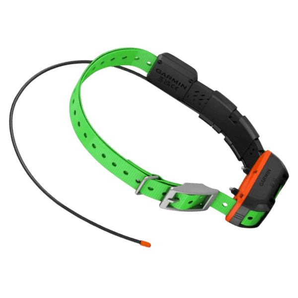 GPS chien sans abonnement Decathlon